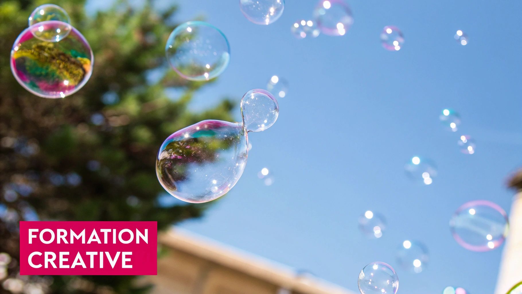 Formation Bubble en France