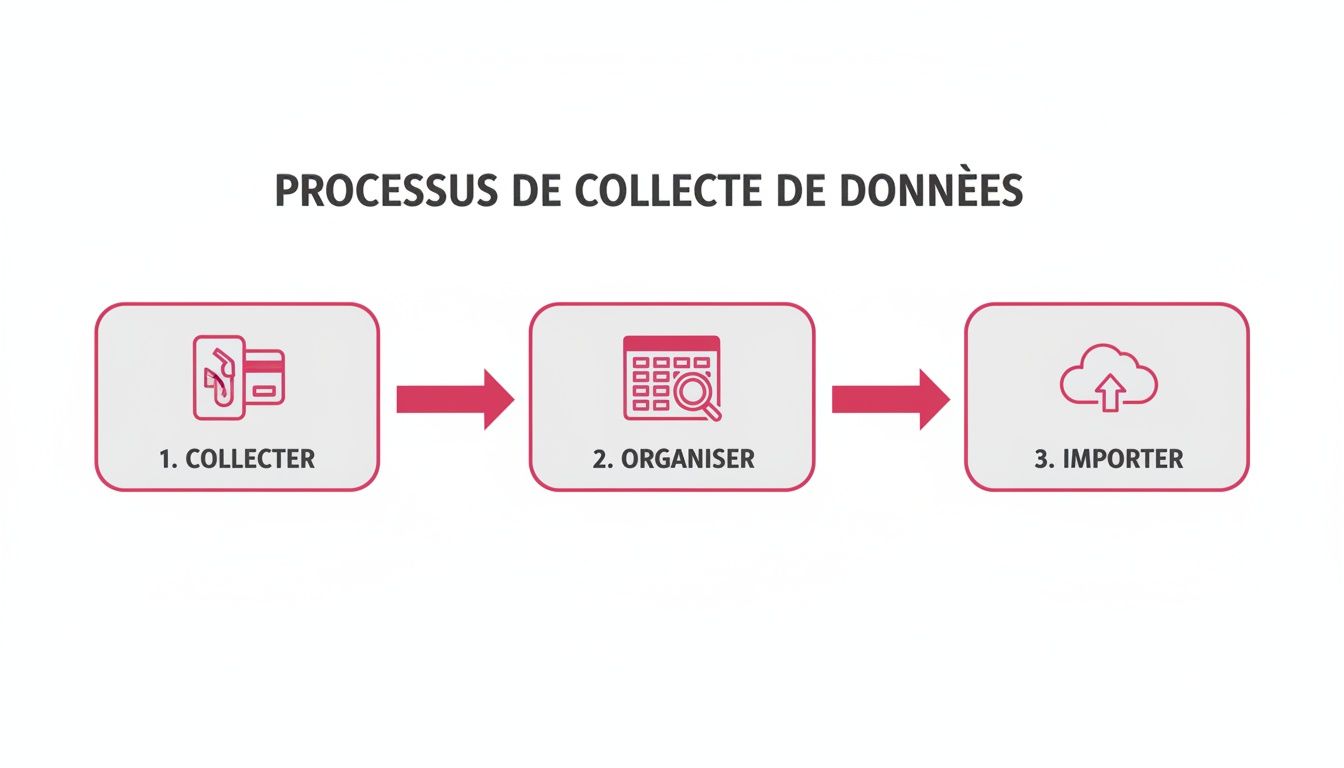 Infographie montrant le processus de collecte de données en trois étapes: collecter, organiser et importer.