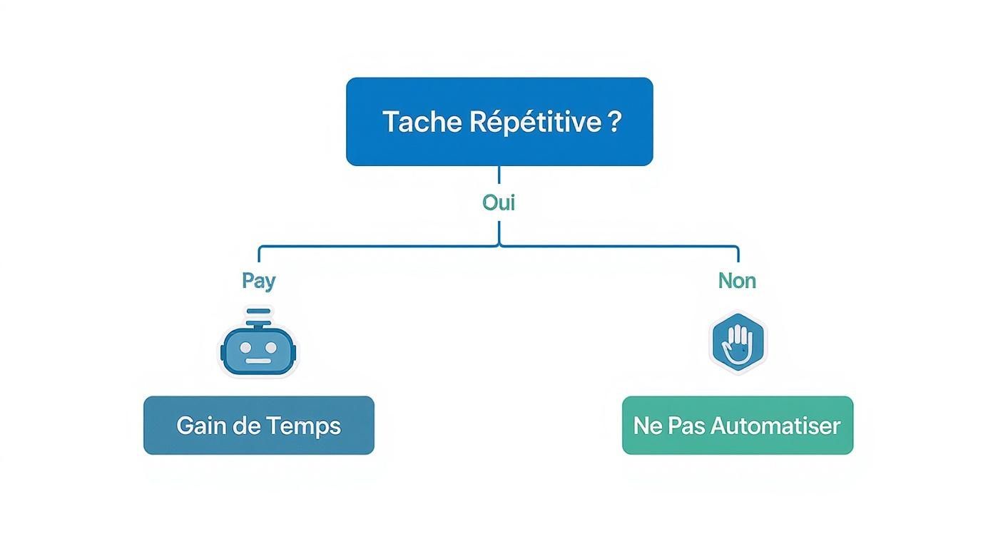 Infographic about automatisation des taches