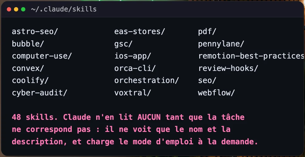 Liste d'une partie des 48 skills installés dans le dossier .claude/skills : astro-seo, bubble, convex, pennylane, remotion, review-hooks, webflow et d'autres